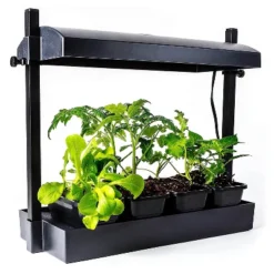 SunBlaster 1600218 T5HO Indoor Canopy Micro Grow Light Garden System With 1, 12-Inch 11-Watt 6400K Strip Light & 1 NanoTech T5 Reflector, Black -Deals Patio Elegance Store GUEST 02dc1883 af79 4b04 bbf7 467ddc3ca9fc