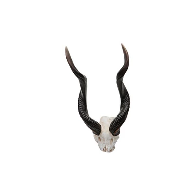 Design Toscano Kudu African Wall Trophy 1 Design Toscano Kudu African Wall Trophy