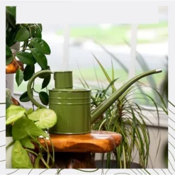 Homarden 34oz Green Long Spout Metal Watering Can Perfect For Outdoor & Indoor Plants -Deals Patio Elegance Store GUEST 0daf9007 9ae9 4f8f a2a9 09bf5c3d4cbf