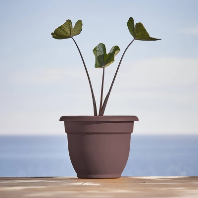 Ariana Self-Watering Indoor/Outdoor Planter - Bloem 1 Ariana Self-Watering Indoor/Outdoor Planter - Bloem