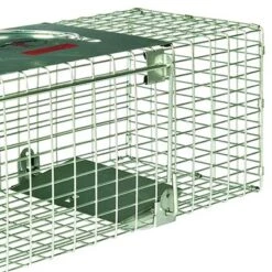 Little Giant LT1 18 Inch Galvanized Wire Mesh And Reinforced Steel Live Trap With Single Door Entry For Human And Secure Animal Removal -Deals Patio Elegance Store GUEST 196c2a87 45d6 4bbf b8a4 1244a8018ae7