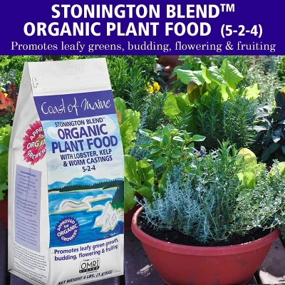 Coast Of Maine OMRI Listed Organic Stonington Blend Plant Food Compost Potting Soil Blend For Container Gardens And Flower Pots, 4 Pound Bag (2 Pack) 3 Coast Of Maine OMRI Listed Organic Stonington Blend Plant Food Compost Potting Soil Blend For Container Gardens And Flower Pots, 4 Pound Bag (2 Pack) - Image 3