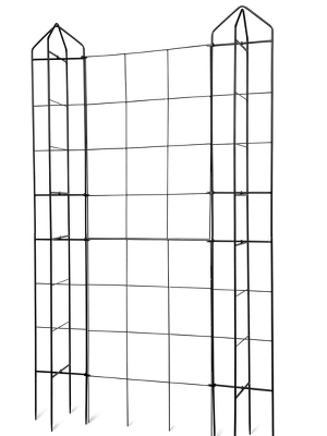 Gardener's Supply Company Zenith Trellis And Tower Combo | Sturdy Powder-Coated Steel Plant Support For Heavy Fruiting Plants - 74" Tall Installed - 1 Gardener's Supply Company Zenith Trellis And Tower Combo | Sturdy Powder-Coated Steel Plant Support For Heavy Fruiting Plants - 74" Tall Installed -