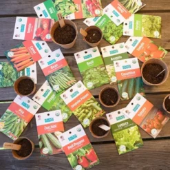 Back To The Roots 20pk Organic USA Herbs And Vegetable Seeds -Deals Patio Elegance Store GUEST 25174905 b564 4663 a98c 918794c8af71