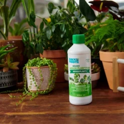 Back To The Roots All Purpose Plant Food 1.5lb 17 Back To The Roots All Purpose Plant Food 1.5lb -Deals Patio Elegance Store GUEST 2a893afa c9ea 4ab3 ac02 b1dcb2c600cd