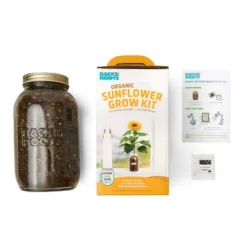 Back To The Roots Organic Sunflower Grow Kit -Deals Patio Elegance Store GUEST 2f04d7e8 ace1 450b 93e3 7a6643d2d00d