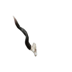 Design Toscano Kudu African Wall Trophy 11 Design Toscano Kudu African Wall Trophy -Deals Patio Elegance Store GUEST 2f711fc3 0c69 4b86 bf76 4e6d76499c6c