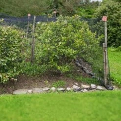 Viirkuja 4" X 5"m Fine Mesh Pond Bird Repellent Net, Black -Deals Patio Elegance Store GUEST 30461c12 60a7 4d2c b15f f4cb9c0fb2bb