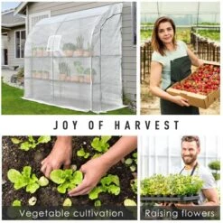 Outsunny 7' X 3' X 7' Outdoor Walk-In Greenhouse, Plant Nursery With Roll-up Windows, PE Cover, And 3 Wire Shelves -Deals Patio Elegance Store GUEST 3951dfa8 85cd 4cc6 babe 3d0b4a3adfcc