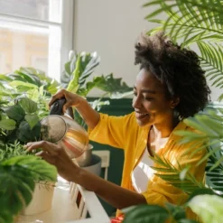 Back To The Roots All Purpose Plant Food 1.5lb 24 Back To The Roots All Purpose Plant Food 1.5lb -Deals Patio Elegance Store GUEST 3f6d251c b8d7 4d56 bf20 80216fc4f3e4