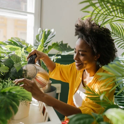 Back To The Roots All Purpose Plant Food 1.5lb 12 Back To The Roots All Purpose Plant Food 1.5lb - Image 12