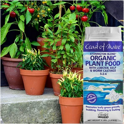 Coast Of Maine OMRI Listed Organic Stonington Blend Plant Food Compost Potting Soil Blend For Container Gardens And Flower Pots, 4 Pound Bag (2 Pack) 2 Coast Of Maine OMRI Listed Organic Stonington Blend Plant Food Compost Potting Soil Blend For Container Gardens And Flower Pots, 4 Pound Bag (2 Pack) - Image 2