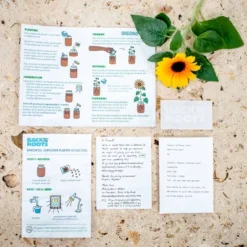 Back To The Roots Organic Sunflower Grow Kit -Deals Patio Elegance Store GUEST 4135958c b71c 4ba1 beff 5c992cca4459