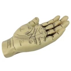 Design Toscano The Palmistry Hand Sculpture -Deals Patio Elegance Store GUEST 44328d8c c608 4ffc 9066 e6835b908c9d