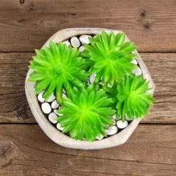 Solar Garden Stones - 500-Pack Glow In The Dark Pathway Pebble Lights - Decorative Glowing Rocks For Flowerbeds And Walkways By Pure Garden (Blue) 8 Solar Garden Stones - 500-Pack Glow In The Dark Pathway Pebble Lights - Decorative Glowing Rocks For Flowerbeds And Walkways By Pure Garden (Blue) -Deals Patio Elegance Store GUEST 457e802c d9a7 44ca 9b2f d98f2f84edc0