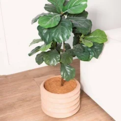 Envelor 10pk 14" Coco Coir Plant Cover Mulch Mat 6 Envelor 10pk 14" Coco Coir Plant Cover Mulch Mat -Deals Patio Elegance Store GUEST 5fdc306f fbba 4caa 91c7 0205d85d5164