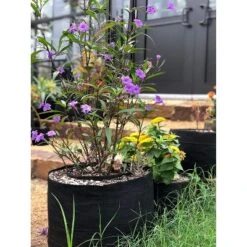 Smart Pot 30 Gallon Portable Fabric Dirt Grow Planter Vegetable Plant Flower Pot Soft Sided Container Bucket, Black -Deals Patio Elegance Store GUEST 618b6324 7b03 422a 87fc 04648b369d1b