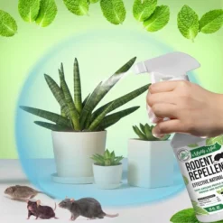 Mighty Mint Rodent Repellent Concentrate - 8oz 8 Mighty Mint Rodent Repellent Concentrate - 8oz -Deals Patio Elegance Store GUEST 67f94e63 c4ed 42fe 9484 d8d2fe495c63