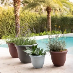 Ariana Self-Watering Indoor/Outdoor Planter - Bloem 8 Ariana Self-Watering Indoor/Outdoor Planter - Bloem -Deals Patio Elegance Store GUEST 6b11d8da 8110 4071 896f 98f2006321ad