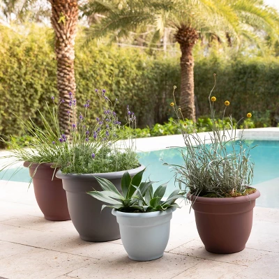 Ariana Self-Watering Indoor/Outdoor Planter - Bloem 4 Ariana Self-Watering Indoor/Outdoor Planter - Bloem - Image 4