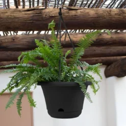 Bloem 13" Wide Lucca Self Watering Hanging Basket -Deals Patio Elegance Store GUEST 7105be97 564a 417e b5cf b116b4ef7394