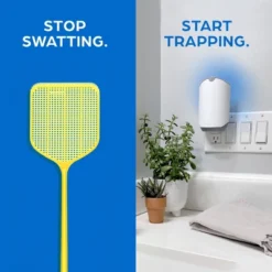 Zevo Indoor Flying Insect Trap Starter Kit For Fruit Flies, Gnats, And House Flies - 4ct -Deals Patio Elegance Store GUEST 7834abf2 96a7 47a1 a34b 37477aab55c6