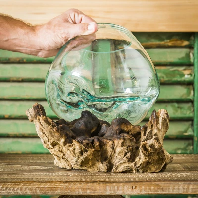 Evergreen Glass Planter On Driftwood 3 Evergreen Glass Planter On Driftwood - Image 3