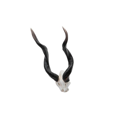 Design Toscano Kudu African Wall Trophy 4 Design Toscano Kudu African Wall Trophy - Image 4