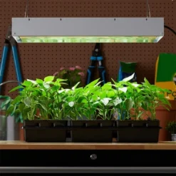 Hydrofarm FLT24 Agrobrite 4-Tube Daisy Chainable Hydroponic 2-Foot Grow Light Fixture 96W With 4-T5 Bulbs For Indoor Home Gardens 9 Hydrofarm FLT24 Agrobrite 4-Tube Daisy Chainable Hydroponic 2-Foot Grow Light Fixture 96W With 4-T5 Bulbs For Indoor Home Gardens -Deals Patio Elegance Store GUEST 8bdf897b bb6a 4ac7 91f4 5c6ed21d84eb