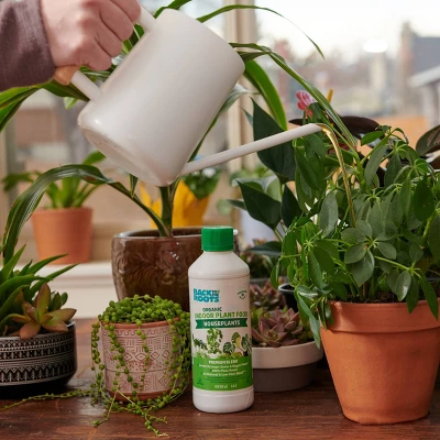 Back To The Roots All Purpose Plant Food 1.5lb 9 Back To The Roots All Purpose Plant Food 1.5lb - Image 9