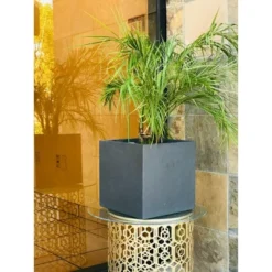 Rosemead Home & Garden, Inc. 12" Wide Kante Lightweight Modern Outdoor Concrete Square Decorative Planter Charcoal Black -Deals Patio Elegance Store GUEST 9150116b 7a16 4c20 b901 2f4bd5cf6844