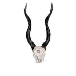 Design Toscano Kudu African Wall Trophy 12 Design Toscano Kudu African Wall Trophy -Deals Patio Elegance Store GUEST 92367dd3 4040 48e2 85ab 520ce59a4e21