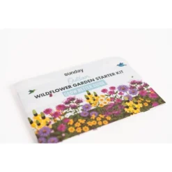 Sunday Outdoor Wildflower Garden Kit -Deals Patio Elegance Store GUEST 940a7f09 74af 49d3 aa7d 14958062ea84