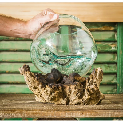 Evergreen Glass Planter On Driftwood 5 Evergreen Glass Planter On Driftwood - Image 5