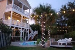 Novelty Lights Edison Outdoor String Lights With 15 Suspended Sockets Black Wire 48 Feet -Deals Patio Elegance Store GUEST 9501d585 9718 4e5e a196 c051c3ff3188