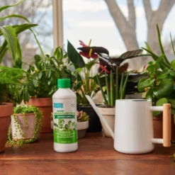 Back To The Roots All Purpose Plant Food 1.5lb 19 Back To The Roots All Purpose Plant Food 1.5lb -Deals Patio Elegance Store GUEST a2fc6aca 34a4 4fc2 aee8 c0aa641d9d62