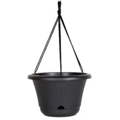 Bloem 13" Wide Lucca Self Watering Hanging Basket -Deals Patio Elegance Store GUEST a364821a 5d7c 4b16 b36c e02c7e88ae70