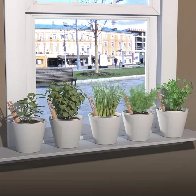 Window Garden Herbs Kit - Garden Starter With Bamboo Markers 1 Window Garden Herbs Kit - Garden Starter With Bamboo Markers