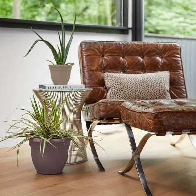 Ariana Self-Watering Indoor/Outdoor Planter - Bloem 2 Ariana Self-Watering Indoor/Outdoor Planter - Bloem - Image 2