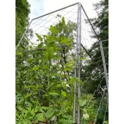 Gardener's Supply Company Chicken Wire Pea Trellis For Climbing Plants | Multi-Use Heavy Duty Outdoor Garden Peas, Tomato, Cucumber Plant Support | -Deals Patio Elegance Store GUEST ab7477bf 9d33 45a3 9b47 25a12d6b9070