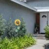 63"x16" Spring Festive Blooming Metal Sunflower Garden Stake - Alpine Corporation