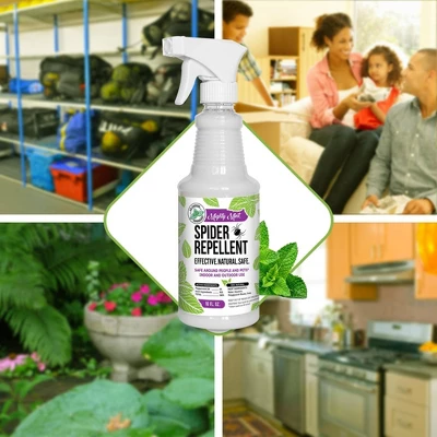 Mighty Mint Spider Repellent - 16oz 3 Mighty Mint Spider Repellent - 16oz - Image 3