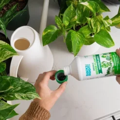 Back To The Roots All Purpose Plant Food 1.5lb 18 Back To The Roots All Purpose Plant Food 1.5lb -Deals Patio Elegance Store GUEST c0329de8 4047 4275 b4f7 f816dcb3caba