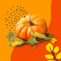 Beloved Pumpkin And Tonka 2-Wick Candle - 11.5oz -Deals Patio Elegance Store GUEST d6cff623 04c1 43bc 8ec9 185a6437537f