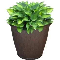 Sunnydaze Decor Sunnydaze Indoor/Outdoor Patio, Garden, Or Porch Weather-Resistant Double-Walled Anjelica Flower Pot Planter - 16" - Rust Finish -Deals Patio Elegance Store GUEST d7c916f7 b37f 47f5 86e0 f7c1f0de4752