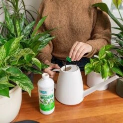 Back To The Roots All Purpose Plant Food 1.5lb 20 Back To The Roots All Purpose Plant Food 1.5lb -Deals Patio Elegance Store GUEST e3158163 5203 4f67 ad23 b96578e1a69f