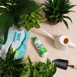 Back To The Roots All Purpose Plant Food 1.5lb 22 Back To The Roots All Purpose Plant Food 1.5lb -Deals Patio Elegance Store GUEST e816c4fe 78a7 4e47 84aa 4748f370b05b