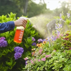 Arber 8oz Organic Bio Protectant Concentrate -Deals Patio Elegance Store GUEST eb93756a 8af7 4952 9e31 a72450fa49d3