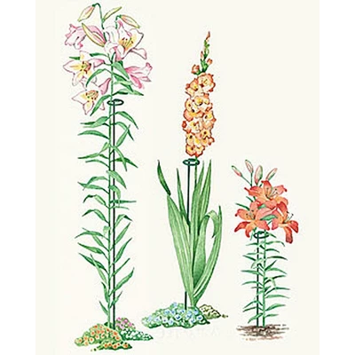 24" Single Stem Supports, Set Of 3 2 24" Single Stem Supports, Set Of 3 - Image 2