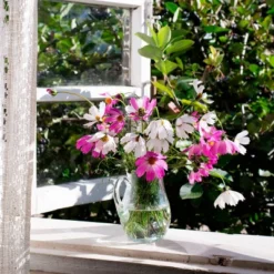 Back To The Roots 5pk Organic USA Flower Seeds -Deals Patio Elegance Store GUEST f4347ac0 4180 4cf1 b5e5 4b29a72da013